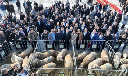 Bakan Yumaklı: Balıkesirin potansiyeli, bizim bu zamana kadar tahayyül ettiklerimizin daha ötesinde