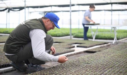 Başkan Çerçioğlu, Ata Tohumları Projesinin kapasitesini yıllık 10 milyon fideye çıkardı