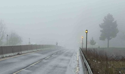 Bolu Dağında yağmur ve sis