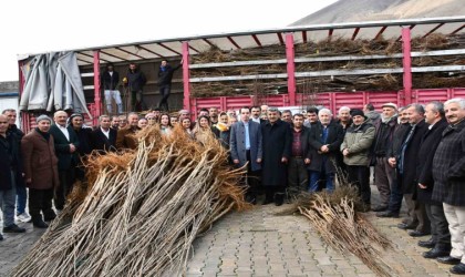 Çatakta fidan dağıtım