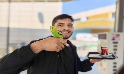 Çay servisi İbişten