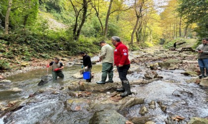 Dere ve tatlı sulara balık salınacak