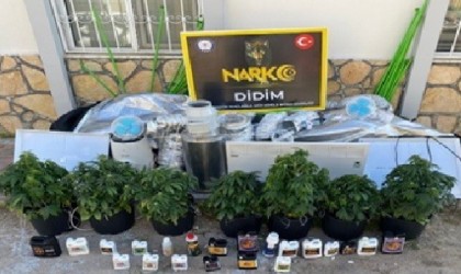 Didimde uyuşturucu operasyonu