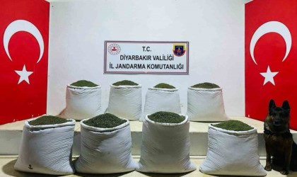 Diyarbakırda 169 kilo esrar ele geçirildi