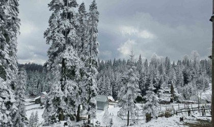 Düzcenin yüksek tepeleri beyaza büründü