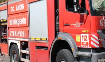 Efelerde ev yangını