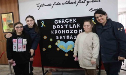 Gerçek dostlar kromozom saymaz