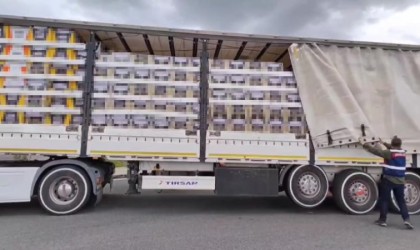 İzmirde 10 milyon 350 bin adet sahte bandrollü makaron ele geçirildi