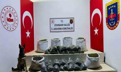 Licede 226 kilo esrar ele geçirildi