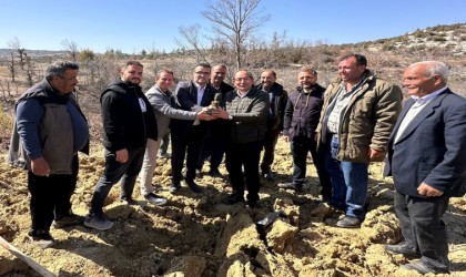 Mersinde biberiye fidanları toprakla buluşturuldu