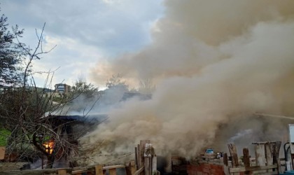 Müstakil evde korkutan yangın