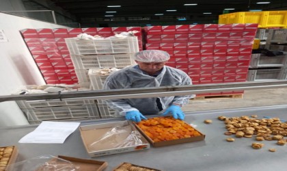 Nazillide 19 bin 472 ton tarımsal ürünün ihracat kontrolü yapıldı