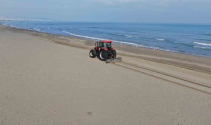 Sahillere bahar bakımı