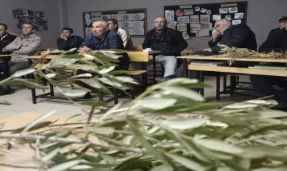 Sarıgölde zeytin budama kursu açıldı