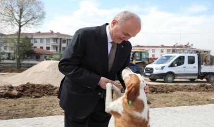 Sokaklarda saldırgan köpek kalmayacak