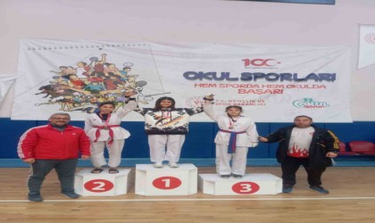 Tomarzalı gençler, Taekwondo Şampiyonasında dereceye girdi