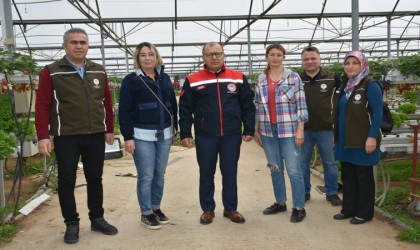 Topraksız tarımsal üretim yapan serada incelemelerde bulunuldu