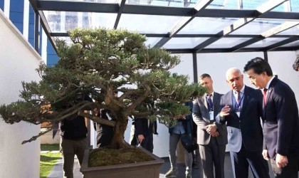 Türkiyenin ilk, Avrupanın en büyük bonsai müzesi Yalovada açıldı