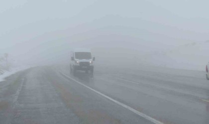 Vanda Kurubaş ve Güzeldere Geçidinde sis etkili oldu