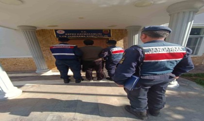 Villada saklanan suç makinesi, jandarmanın operasyonuyla yakalandı