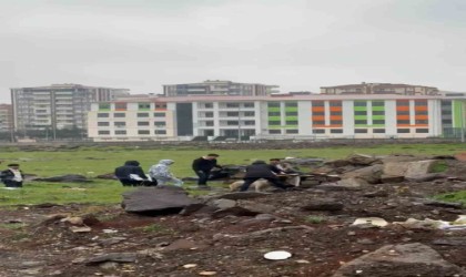 Yağmurda ıslanan köpeğe yuva yapan öğrenciler yürekleri ısıttı