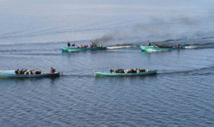 Yavrulama dönemi gelen keçilerin tekne yolculuğu