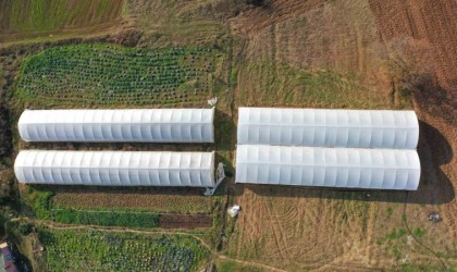 Yüzde 50 hibeli modern sera desteği