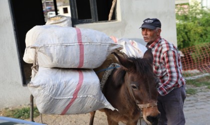 Akaryakıt zamları, at, eşek ve katırları kıymetli kılmaya devam ediyor