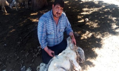 Burdurda devrilen traktörün altında kalan 1 kişi öldü, 2 kişi yaralandı