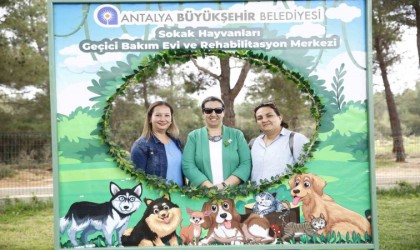 Büyükşehir Sokak Hayvanları Bakım Merkezi yoğun ilgi görüyor