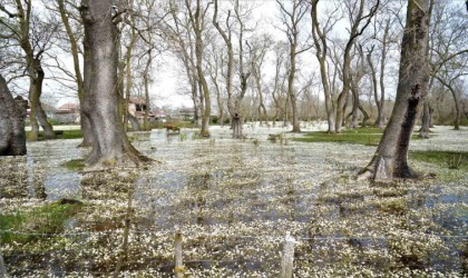 Cennetten bir köşe: Kızılırmak Deltası