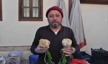 Faydaları saymakla bitmeyen kerevize pazarda ilgi yoğun
