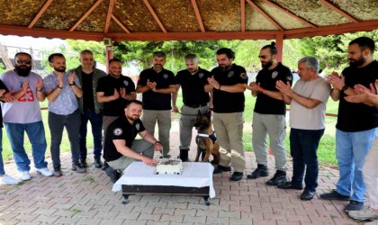 Narkotik köpeği Hulkun 7nci yaş günü pasta kesilerek kutlandı