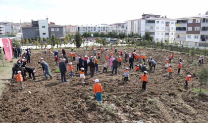 Okuldaki Çiftlik Projesi: Meyve fidanları okul bahçesine dikildi
