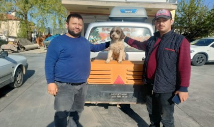 Trüf mantarı avcısı ‘Radar bulundu