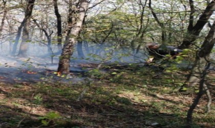 Uludağ eteklerinde çıkan yangını söndürme çalışmaları paylaşıldı