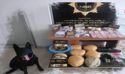 Uyuşturucu satıcılarının ev ve iş yerleri didik didik arandı