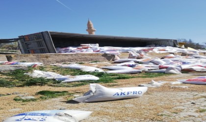 Virajı alamayan kamyon devrildi: 1 yaralı