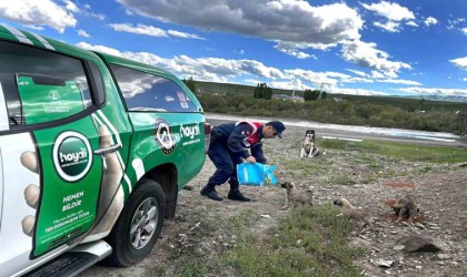 Ağrıda sokak hayvanları unutulmadı