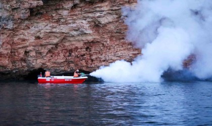 Antalya Büyükşehir Belediyesinden bin 600 personelle vektörel mücadele