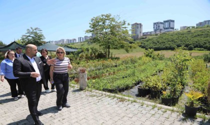 Atakum Belediyesi seracılık faaliyetleri