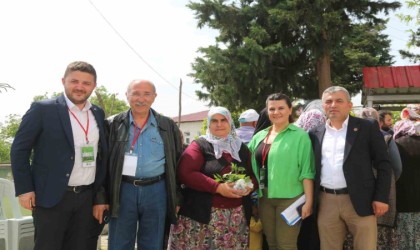 Atakumdan çiftçilere 30 bin fide desteği