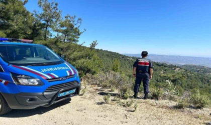 Aydında orman yangınlarına karşı yoğun tedbirler alınıyor