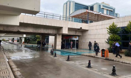 Bal arısının soktuğu adam komaya girdi