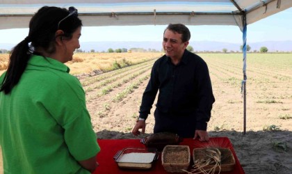 Efelerde karakılçık buğdayının ilk hasadı gerçekleştirildi