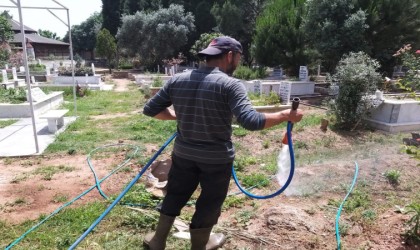 Efelerde mezarlıklar temizleniyor