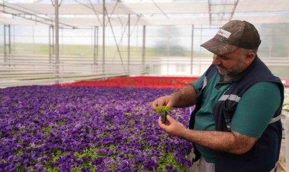 Elazığ Belediyesi üretiyor, dikiyor, kent estetiğine değer kazandırıyor
