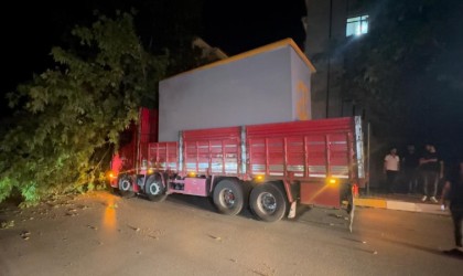 Elazığda trafo kulübesi yüklü tır ağacı devirdi: 1 yaralı