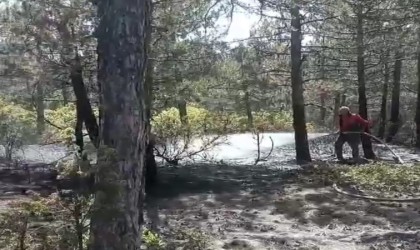 Kütahyada orman yangını büyümeden söndürüldü