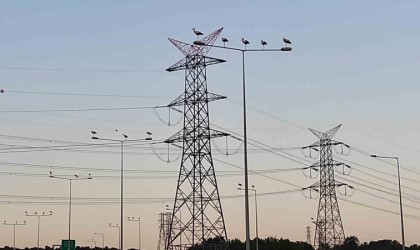 Leylek göçü seferberliği